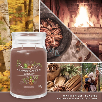 Praline & Birch Signature Candle (pralinka a breza) - Vonná sviečka
